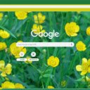 Buttercup  screen for extension Chrome web store in OffiDocs Chromium