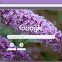 Butterfly Bush  screen for extension Chrome web store in OffiDocs Chromium