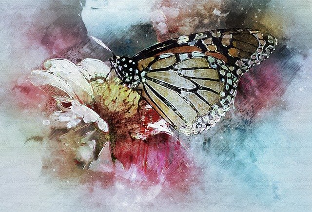 जीआईएमपी ऑनलाइन छवि संपादक के साथ संपादित करने के लिए मुफ्त डाउनलोड तितली फूल मैक्रो मुफ्त चित्रण