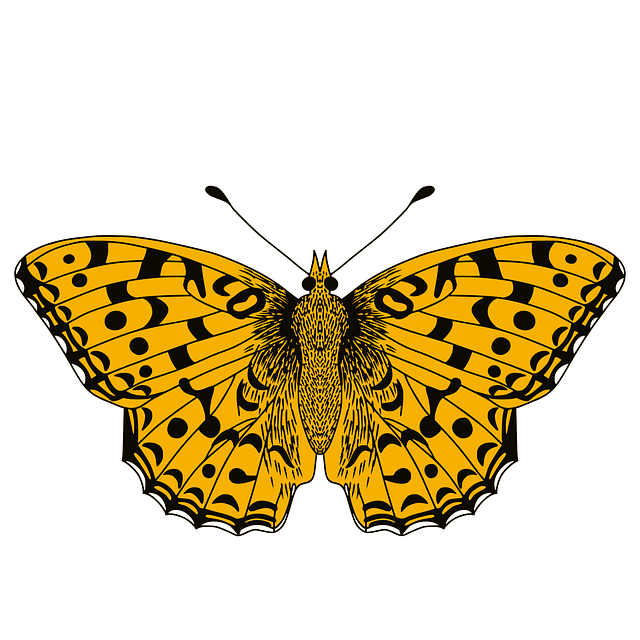 Free download Butterfly Insect Butterflies - Free vector graphic on Pixabay free illustration to be edited with GIMP free online image editor