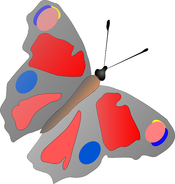 Free download Butterfly Insect Multicolored - Free vector graphic on Pixabay free illustration to be edited with GIMP free online image editor