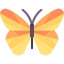 Butterfly on Daisy  screen for extension Chrome web store in OffiDocs Chromium