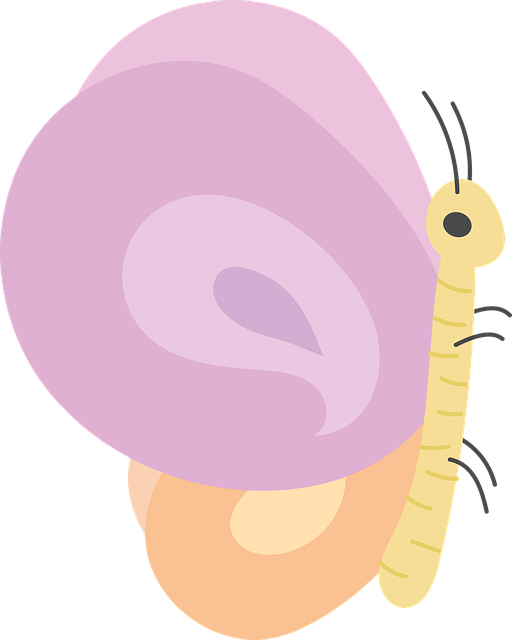 Tải xuống miễn phí Cánh đồng bướm mùa xuân - Đồ họa vector miễn phí trên Pixabay