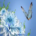 Butterfly Theme  screen for extension Chrome web store in OffiDocs Chromium