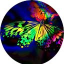 Butterfly Wallpaper  screen for extension Chrome web store in OffiDocs Chromium
