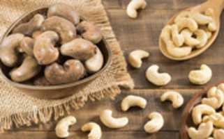 Free download Buying Lead Of Cashews On Volgo Point free photo or picture to be edited with GIMP online image editor