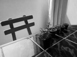 Free download bw1 free photo or picture to be edited with GIMP online image editor