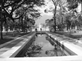 Free download bw2 free photo or picture to be edited with GIMP online image editor