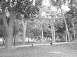 Free download bw6 free photo or picture to be edited with GIMP online image editor