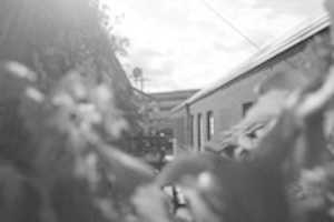Free download BW_BackAlley_Nico free photo or picture to be edited with GIMP online image editor