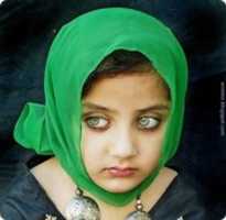 Free download c32ba6f2779e7bbaaf9d32faf96d0258 free photo or picture to be edited with GIMP online image editor