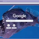 Ca Angler  screen for extension Chrome web store in OffiDocs Chromium