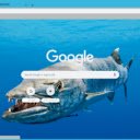 Ca Barracuda  screen for extension Chrome web store in OffiDocs Chromium