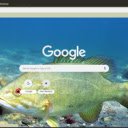 Ca Bass  screen for extension Chrome web store in OffiDocs Chromium