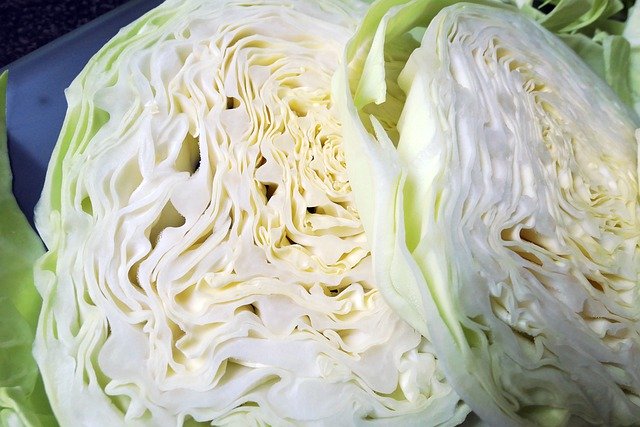 Free download cabbage vegetable food produce free picture to be edited with GIMP free online image editor