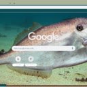 Ca bo  screen for extension Chrome web store in OffiDocs Chromium