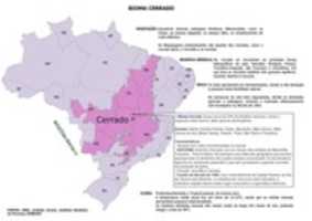 Free download Cacdemresumo 2020 free photo or picture to be edited with GIMP online image editor