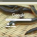 Ca chach  screen for extension Chrome web store in OffiDocs Chromium