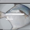 Ca chim  screen for extension Chrome web store in OffiDocs Chromium