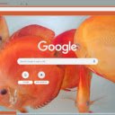 Ca do day  screen for extension Chrome web store in OffiDocs Chromium