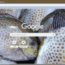 Ca dom  screen for extension Chrome web store in OffiDocs Chromium