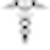 Free download Caduceuss 01 free photo or picture to be edited with GIMP online image editor