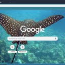 Ca duoi  screen for extension Chrome web store in OffiDocs Chromium