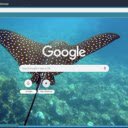 Ca duoi den  screen for extension Chrome web store in OffiDocs Chromium