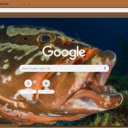 Ca Grouper  screen for extension Chrome web store in OffiDocs Chromium