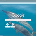 Ca Heo Spinner  screen for extension Chrome web store in OffiDocs Chromium