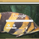 Ca ho  screen for extension Chrome web store in OffiDocs Chromium