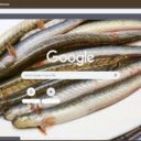 Ca keo  screen for extension Chrome web store in OffiDocs Chromium