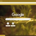 Ca lang  screen for extension Chrome web store in OffiDocs Chromium