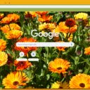 Calendula  screen for extension Chrome web store in OffiDocs Chromium