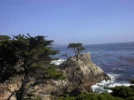 Free download California, Carmel 2002 free photo or picture to be edited with GIMP online image editor