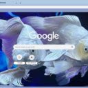 Ca long vu  screen for extension Chrome web store in OffiDocs Chromium