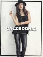 Free download Calzedonia. Fall Winter 2014-2015 free photo or picture to be edited with GIMP online image editor