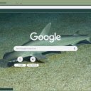 Ca map bua  screen for extension Chrome web store in OffiDocs Chromium