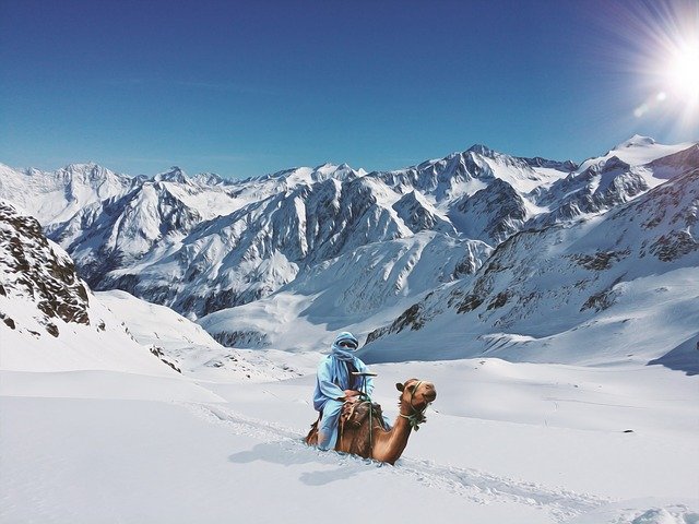 הורדה חינם של Camel Deep Snow Reiter איור חינם לעריכה עם עורך התמונות המקוון GIMP