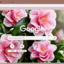 Camellia  screen for extension Chrome web store in OffiDocs Chromium
