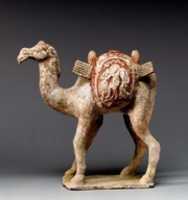 Free download Camel with Packboards and Baggage free photo or picture to be edited with GIMP online image editor