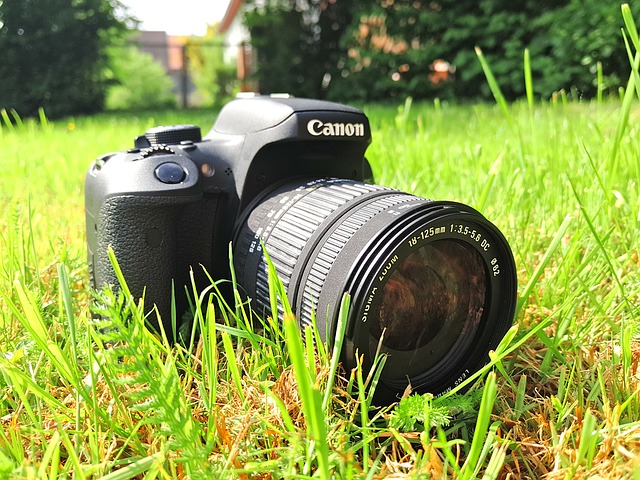Kostenloser Download Kameraobjektiv DSLR SLR Canon Sigma Kostenloses Bild, das mit dem kostenlosen Online-Bildeditor GIMP bearbeitet werden kann