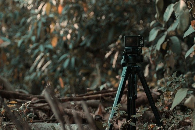 Free download camera tripod exilim casio free picture to be edited with GIMP free online image editor