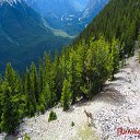 Canadian Rockies  screen for extension Chrome web store in OffiDocs Chromium