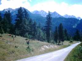 ดาวน์โหลดภาพฟรีของ Canadian Rockies, Fairmont Hot Springs หรือภาพที่จะแก้ไขด้วยโปรแกรมแก้ไขรูปภาพออนไลน์ GIMP