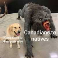Free download canadians? free photo or picture to be edited with GIMP online image editor