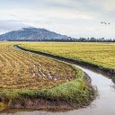 Canal in the fields  screen for extension Chrome web store in OffiDocs Chromium