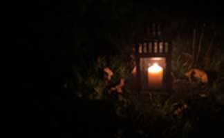 Free download candle_decaying_leaves_dark free photo or picture to be edited with GIMP online image editor