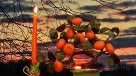Free download Candle Fire Darkness -  free video to be edited with OpenShot online video editor