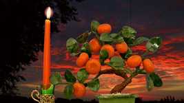 Free download Candle Window Dawn -  free video to be edited with OpenShot online video editor